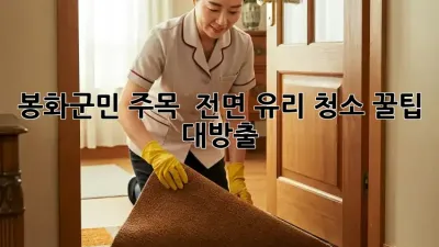 봉화군민 주목! ✨ 전면 유리 청소 꿀팁 대방출 🚗💨