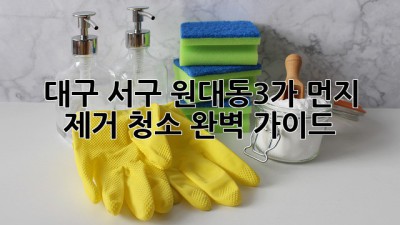 대구 서구 원대동3가 먼지 제거 청소 완벽 가이드