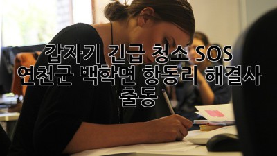 🏠✨ 갑자기?! 긴급 청소 SOS! 연천군 백학면 항동리 해결사 출동!